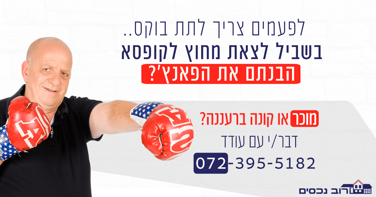 אגרוף-לצאת-מהקופסא-עודד